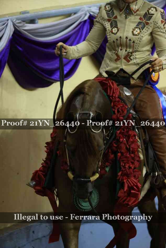 Proof 21YN_26440