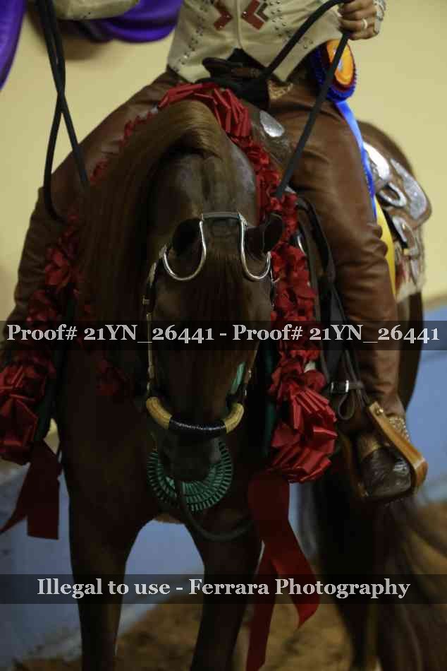Proof 21YN_26441