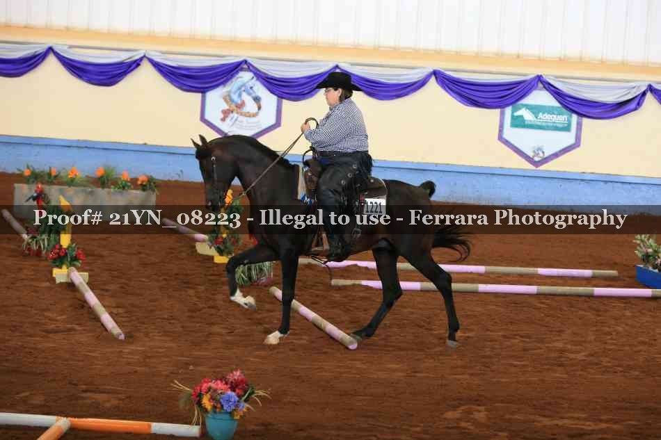 Proof 21YN_08223