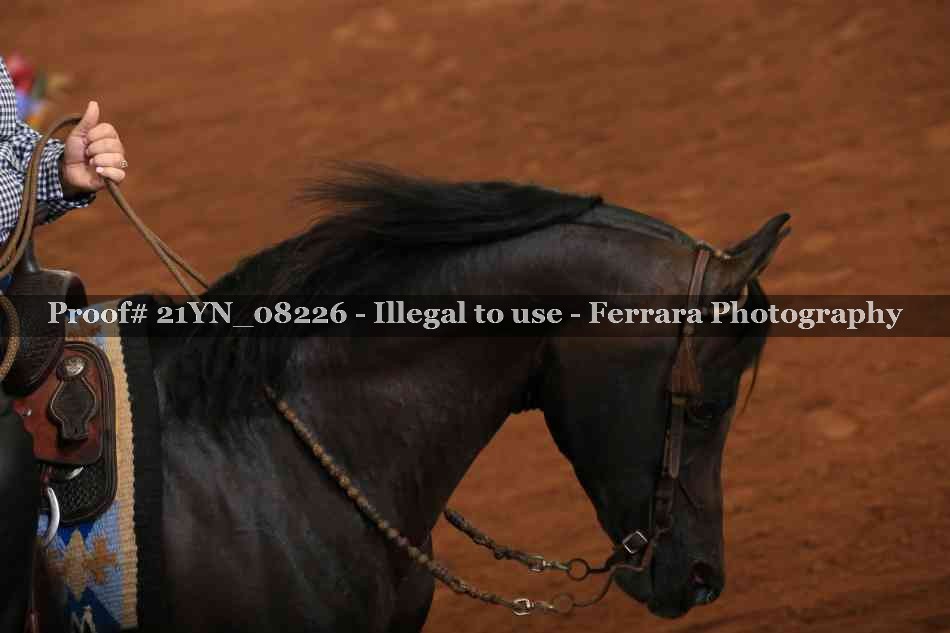 Proof 21YN_08226