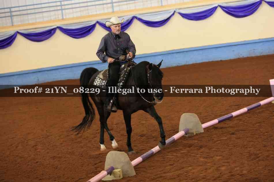 Proof 21YN_08229