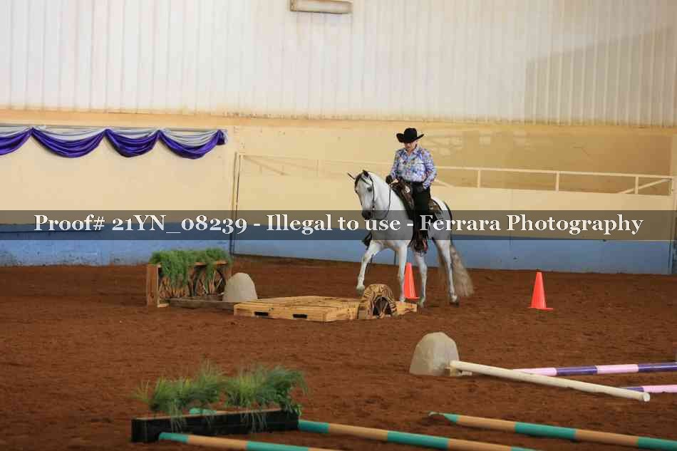 Proof 21YN_08239