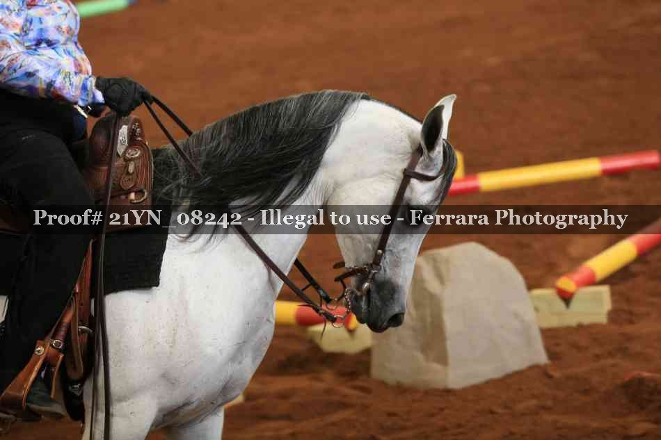 Proof 21YN_08242