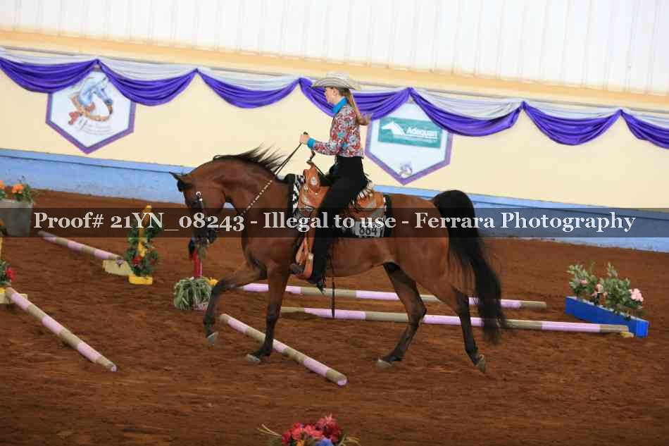 Proof 21YN_08243