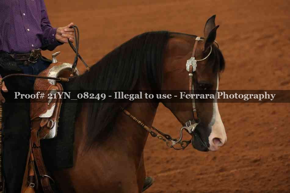 Proof 21YN_08249