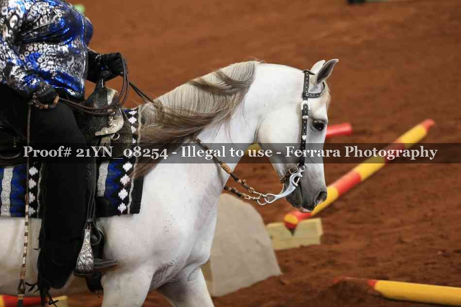 Proof 21YN_08254
