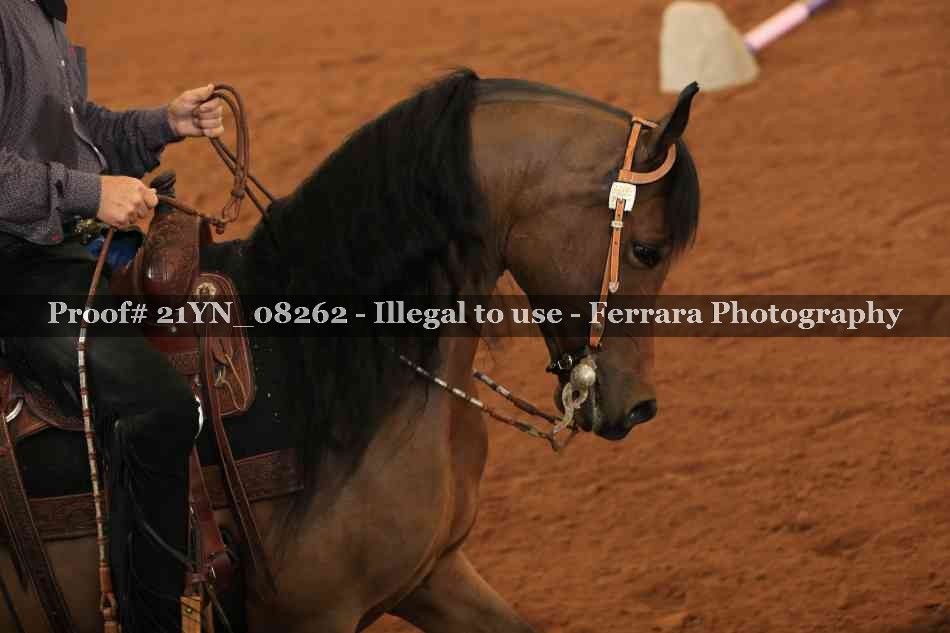Proof 21YN_08262