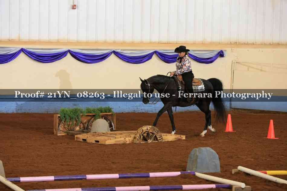 Proof 21YN_08263