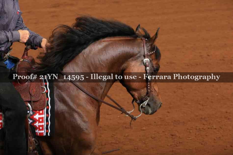 Proof 21YN_14595