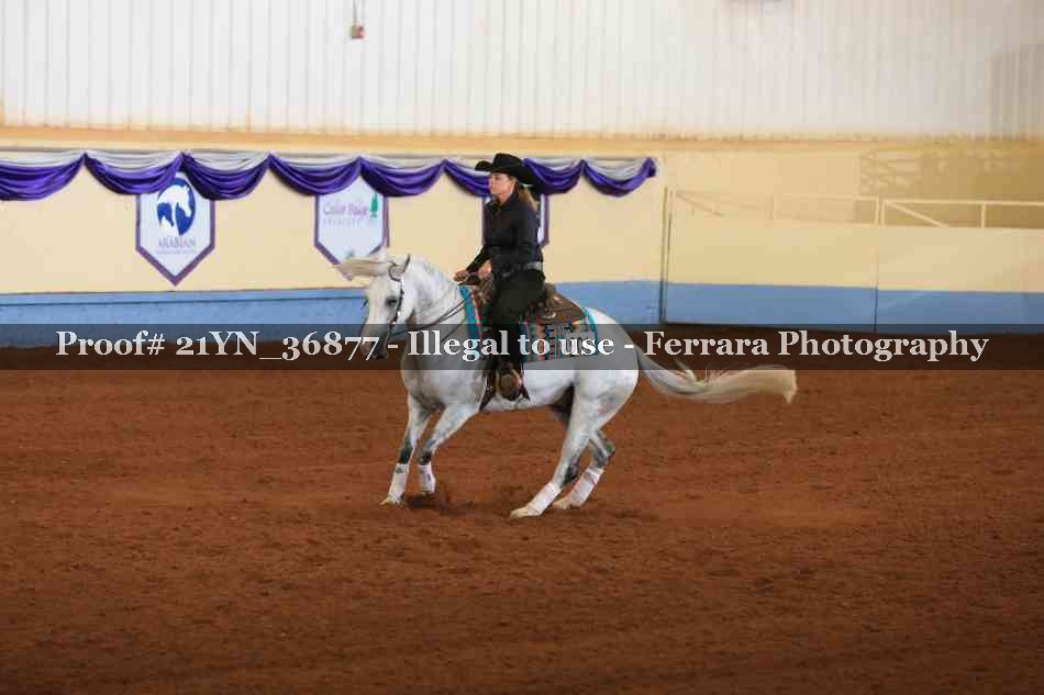 Proof 21YN_36877