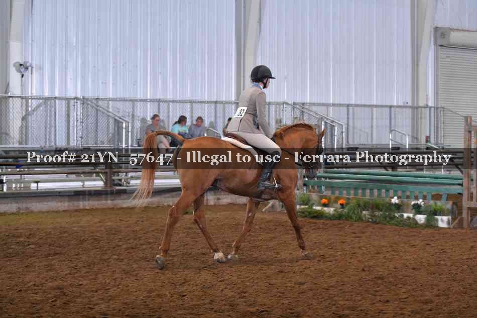 Proof 21YN_57647