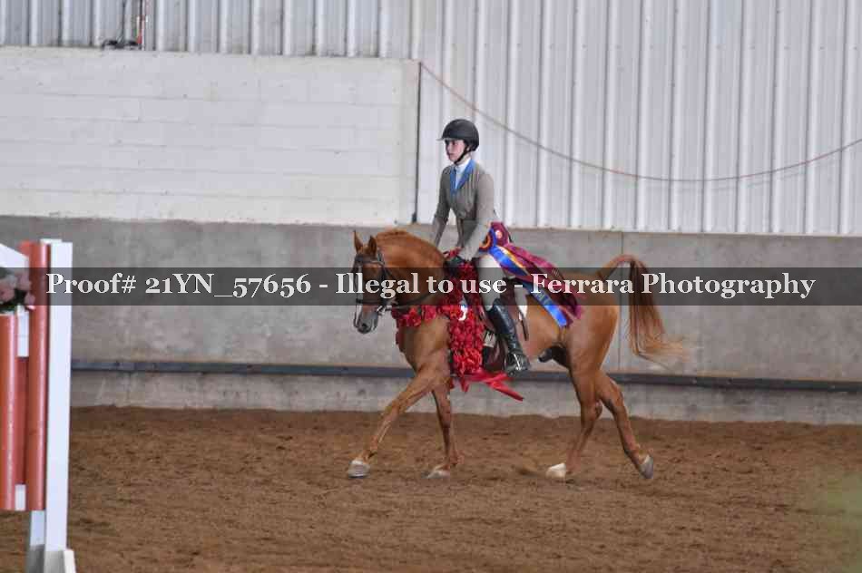 Proof 21YN_57656
