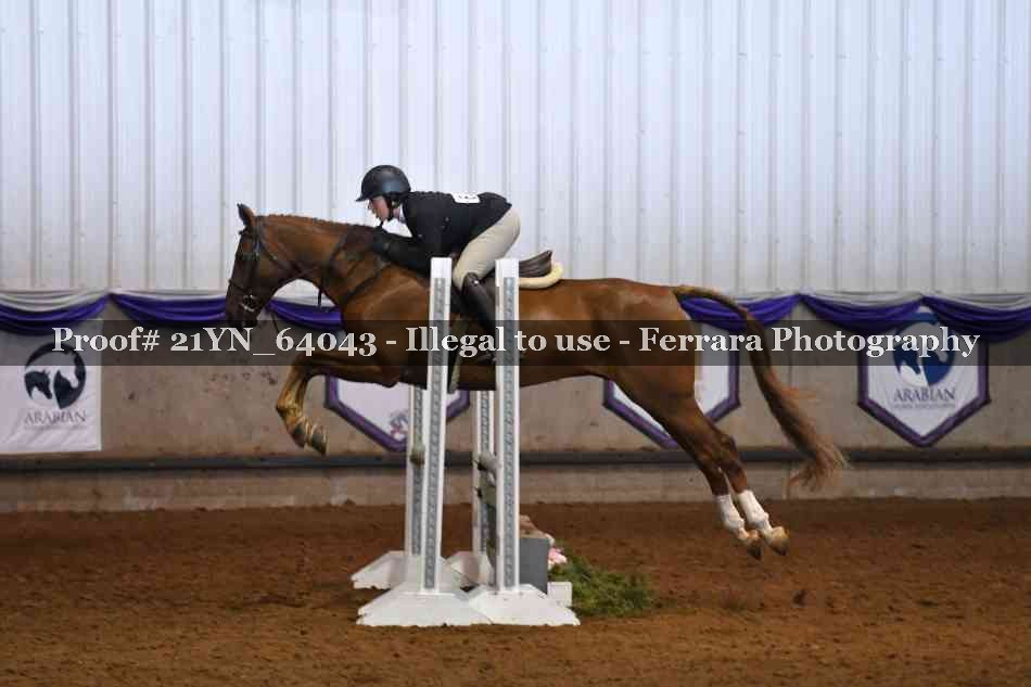 Proof 21YN_64043