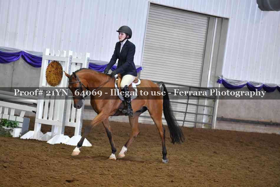 Proof 21YN_64069