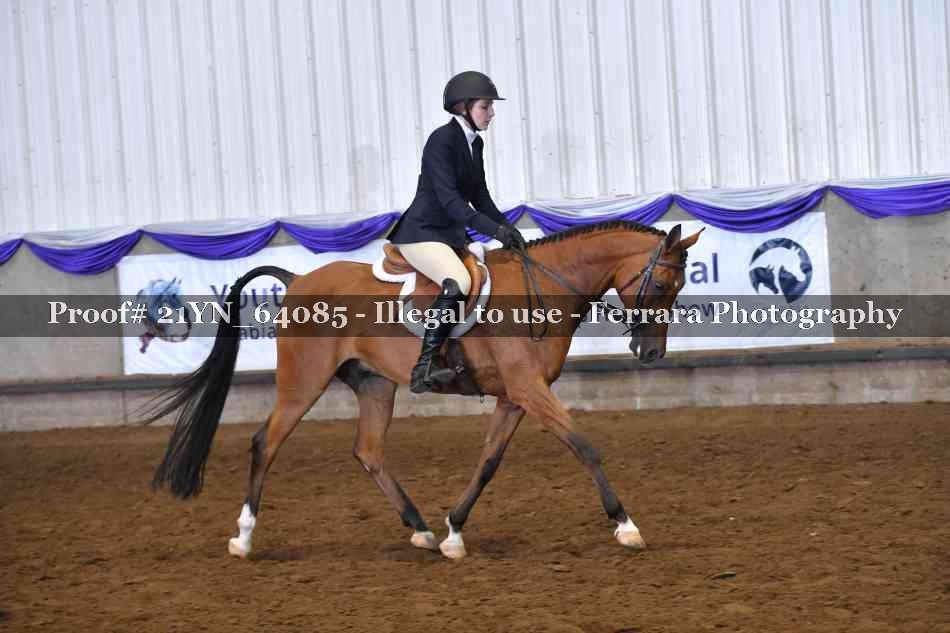 Proof 21YN_64085