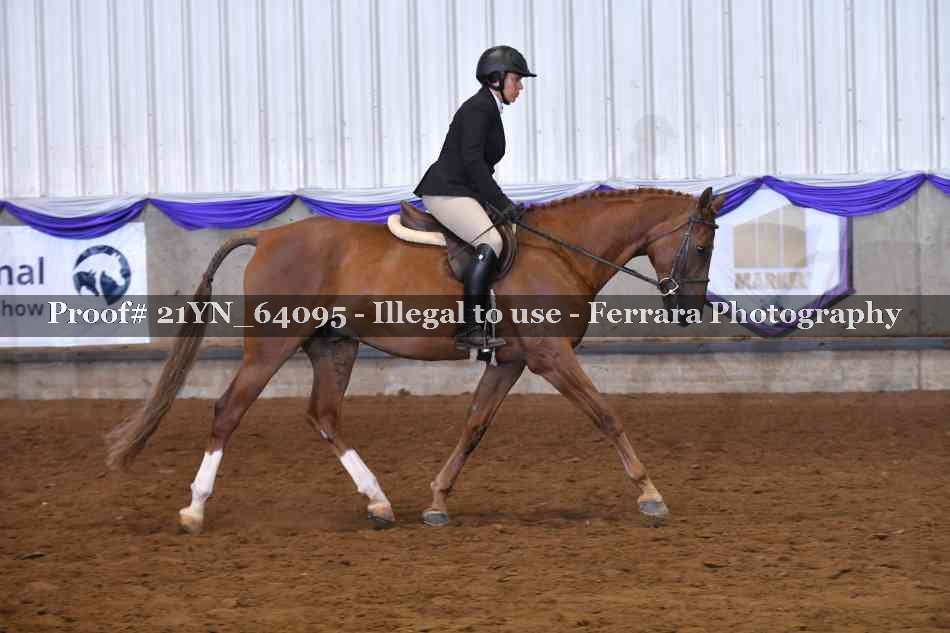Proof 21YN_64095
