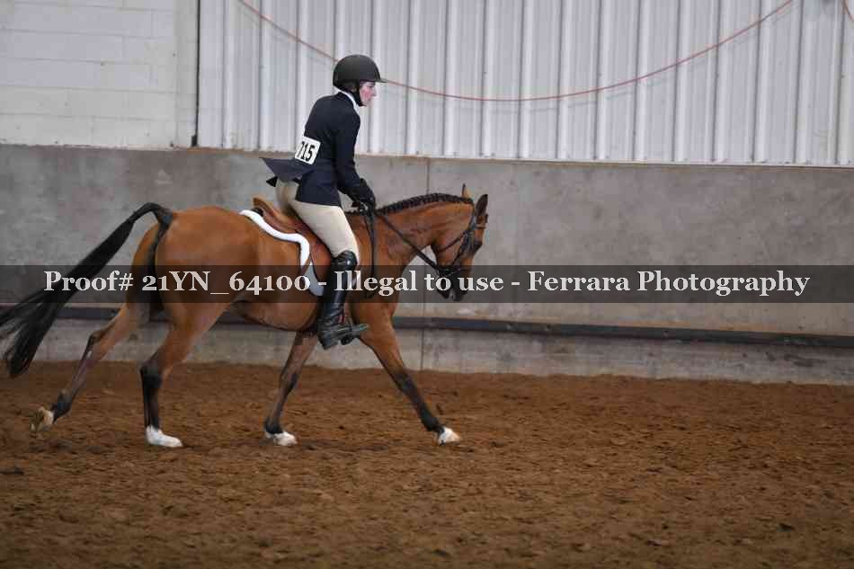 Proof 21YN_64100