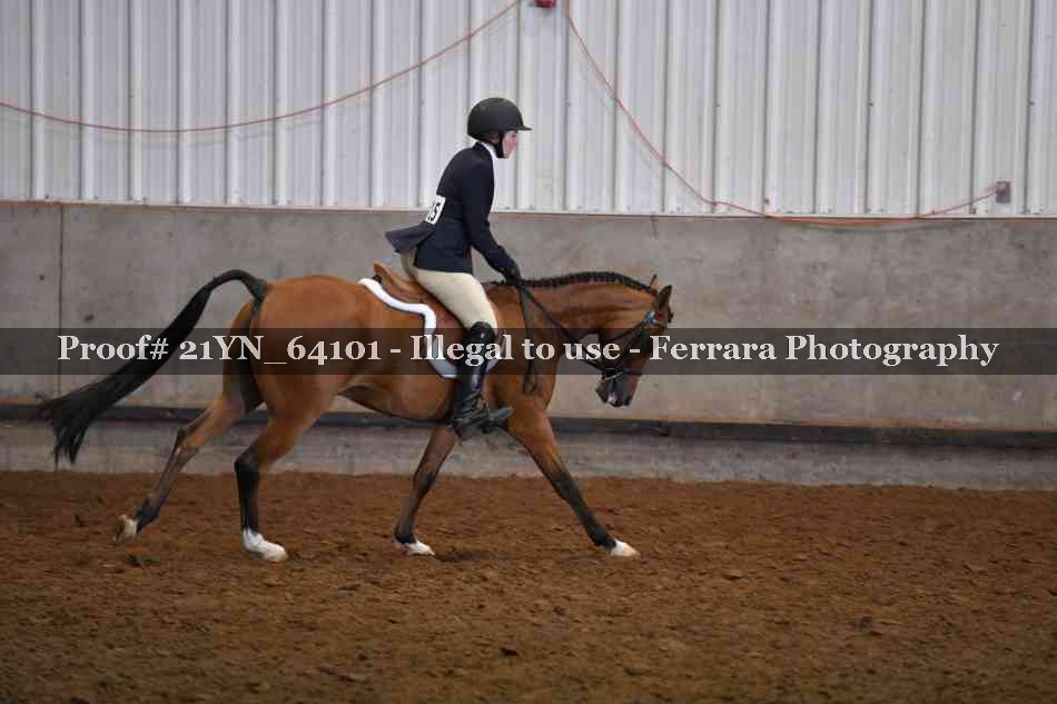 Proof 21YN_64101