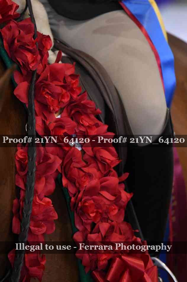 Proof 21YN_64120