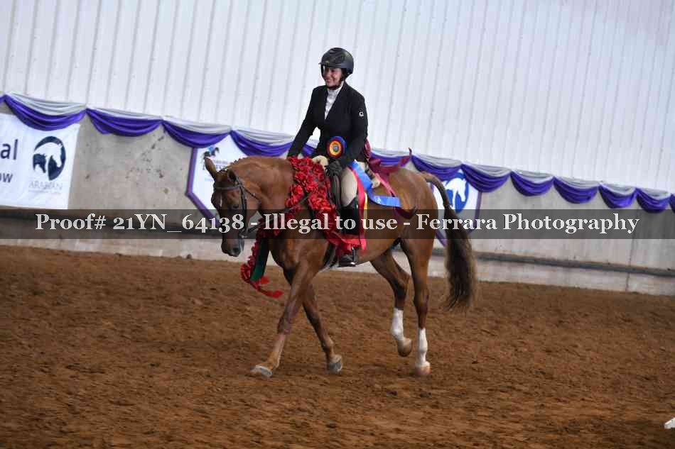 Proof 21YN_64138