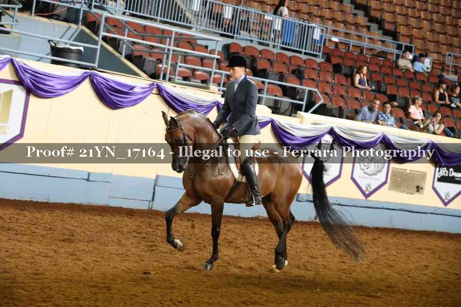 Proof 21YN_17164