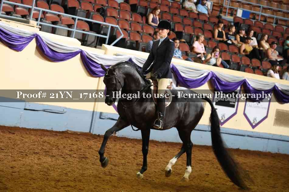 Proof 21YN_17168