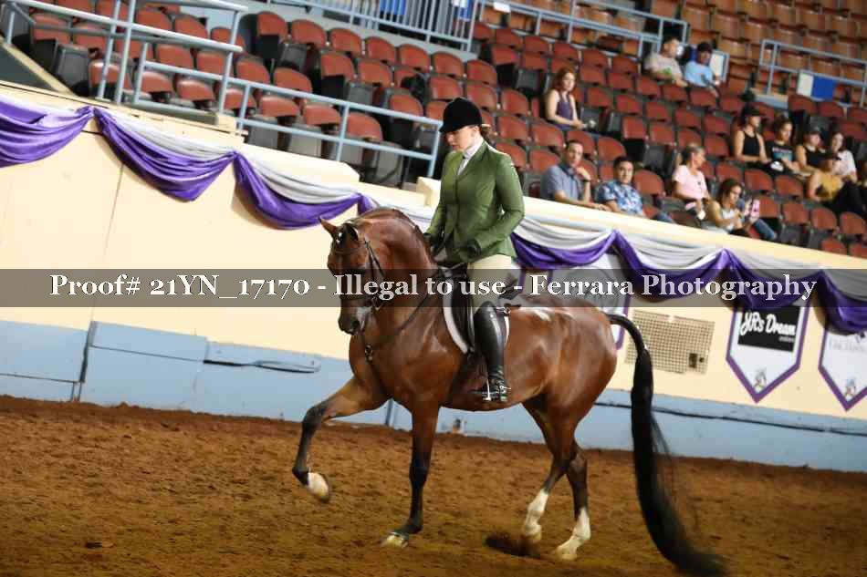 Proof 21YN_17170