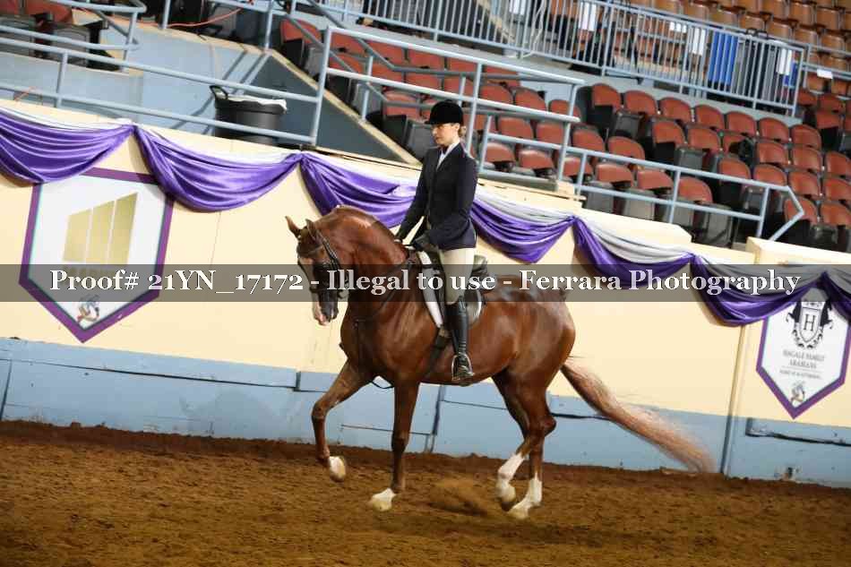 Proof 21YN_17172