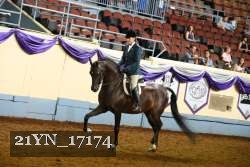 21YN_17174 proof
