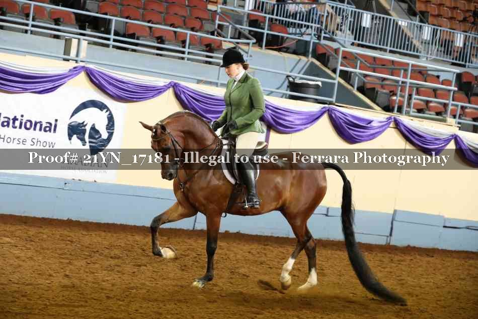 Proof 21YN_17181