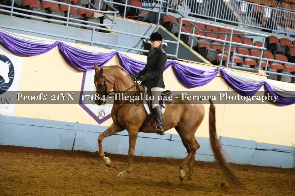 Proof 21YN_17184