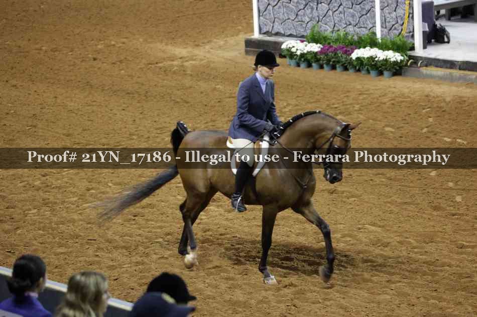 Proof 21YN_17186