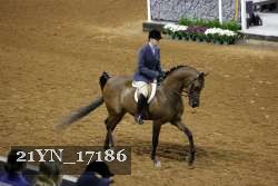 21YN_17186 proof