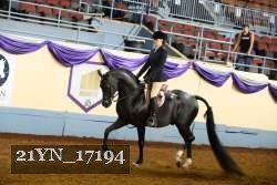21YN_17194 proof
