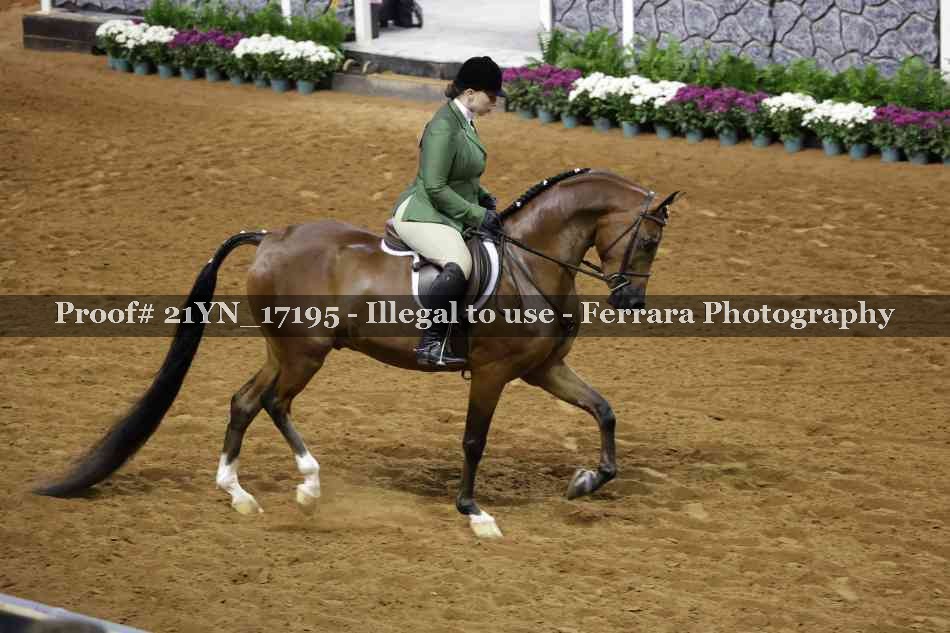 Proof 21YN_17195