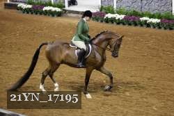 21YN_17195 proof