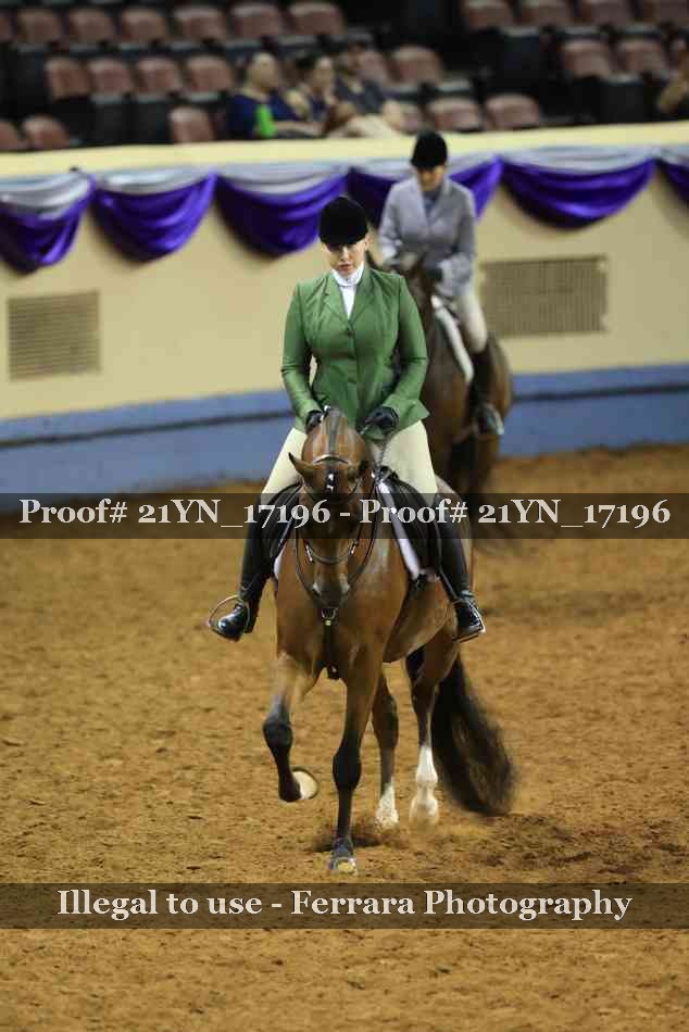 Proof 21YN_17196