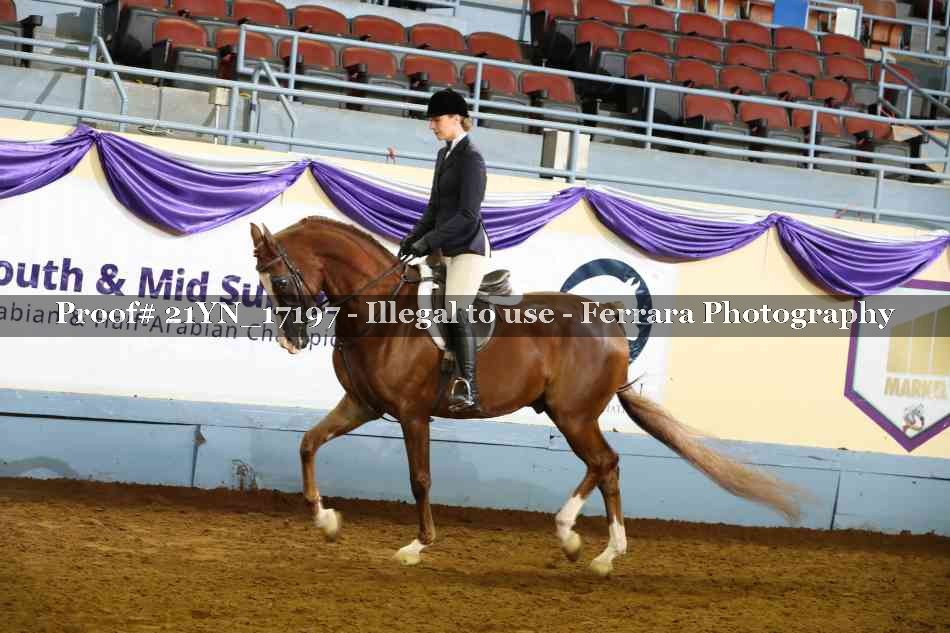 Proof 21YN_17197