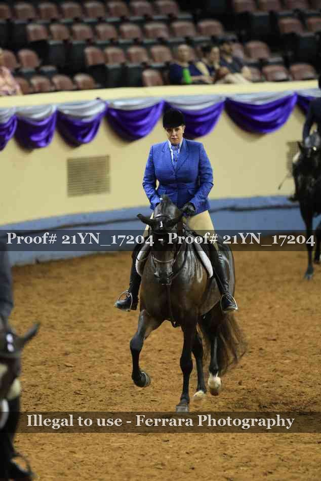 Proof 21YN_17204