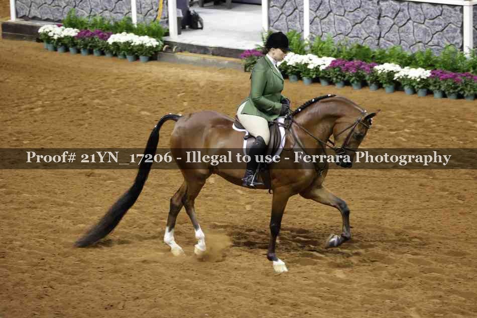 Proof 21YN_17206