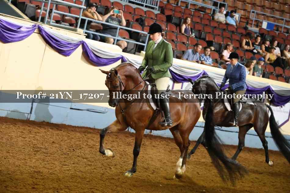 Proof 21YN_17207