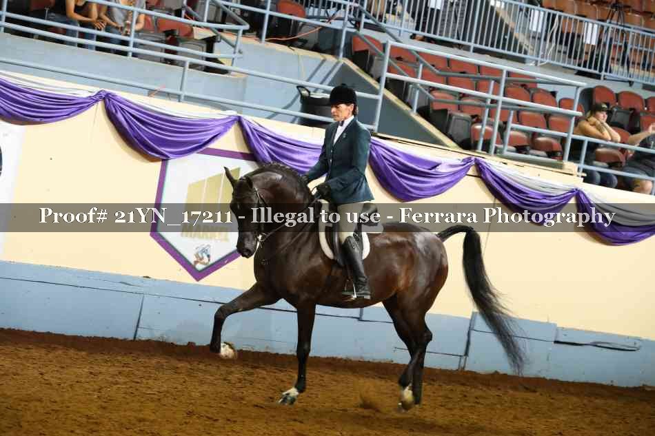 Proof 21YN_17211