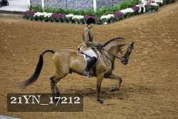 21YN_17212 proof