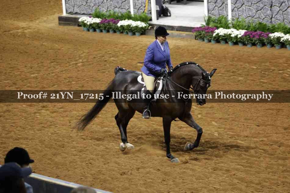 Proof 21YN_17215