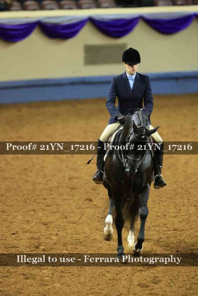 Proof 21YN_17216