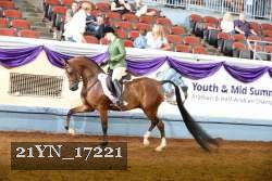 21YN_17221 proof