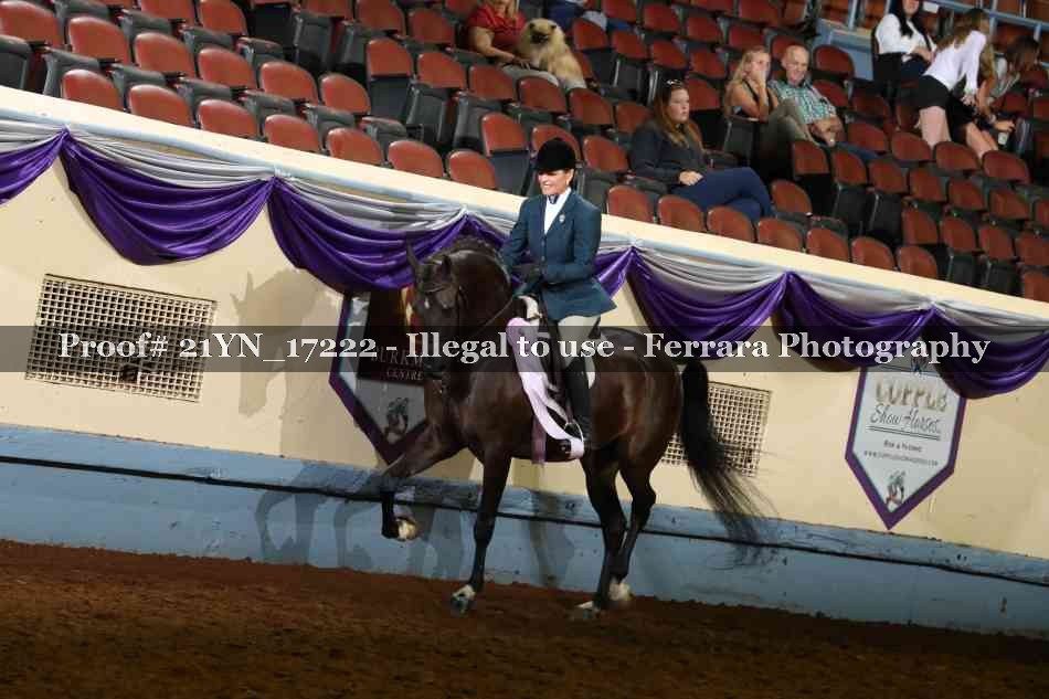 Proof 21YN_17222