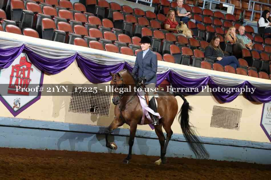 Proof 21YN_17225
