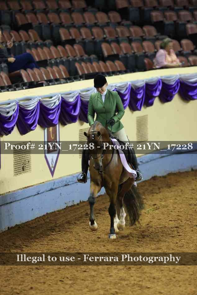 Proof 21YN_17228
