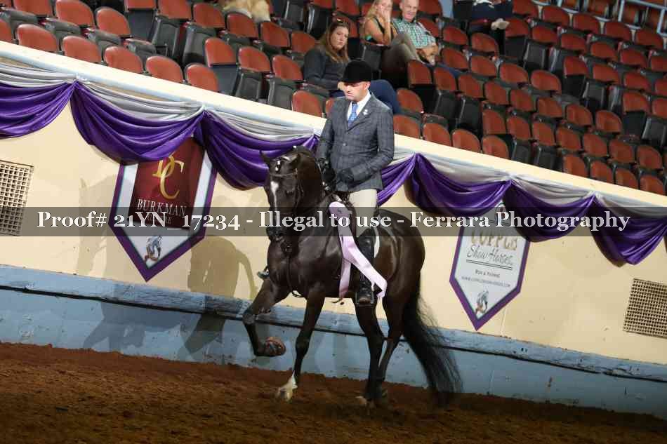 Proof 21YN_17234